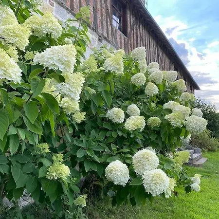 Manoir De La Jaunière Maison De Charme Pays D’auge