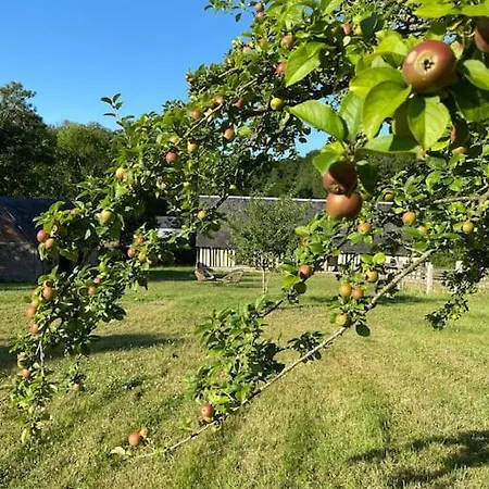بيت للعطل Manoir De La Jauniere Maison De Charme Pays D'auge Neuville-sur-Touques