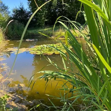 Manoir De La Jauniere Maison De Charme Pays D'auge بيت للعطل Neuville-sur-Touques