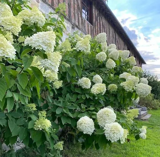 Manoir De La Jauniere Maison De Charme Pays D'auge