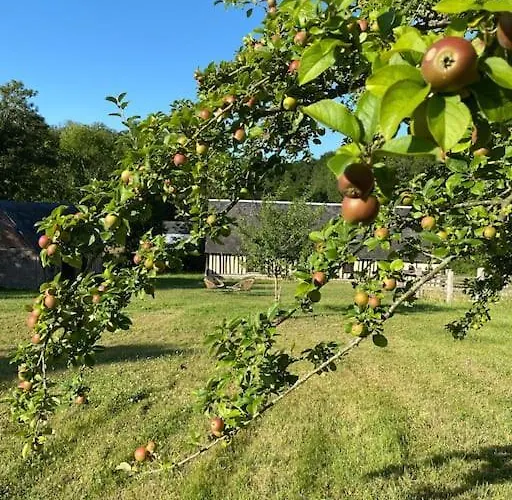 Feriehus Manoir De La Jauniere Maison De Charme Pays D'auge Neuville-sur-Touques