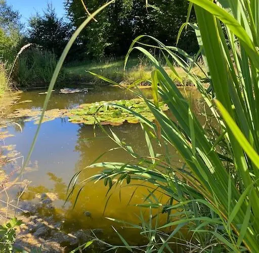 Manoir De La Jauniere Maison De Charme Pays D'auge Feriehus Neuville-sur-Touques